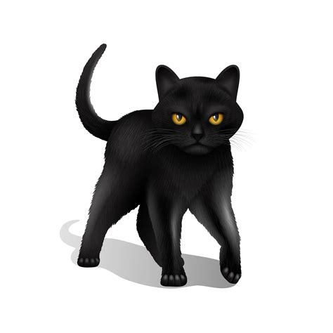 gato preto desenho